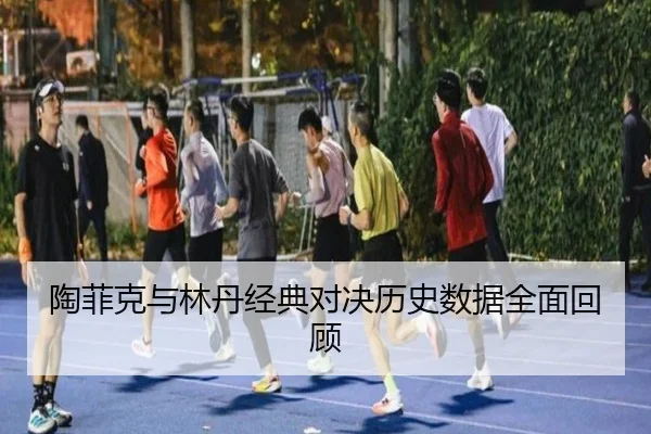 陶菲克与林丹经典对决历史数据全面回顾